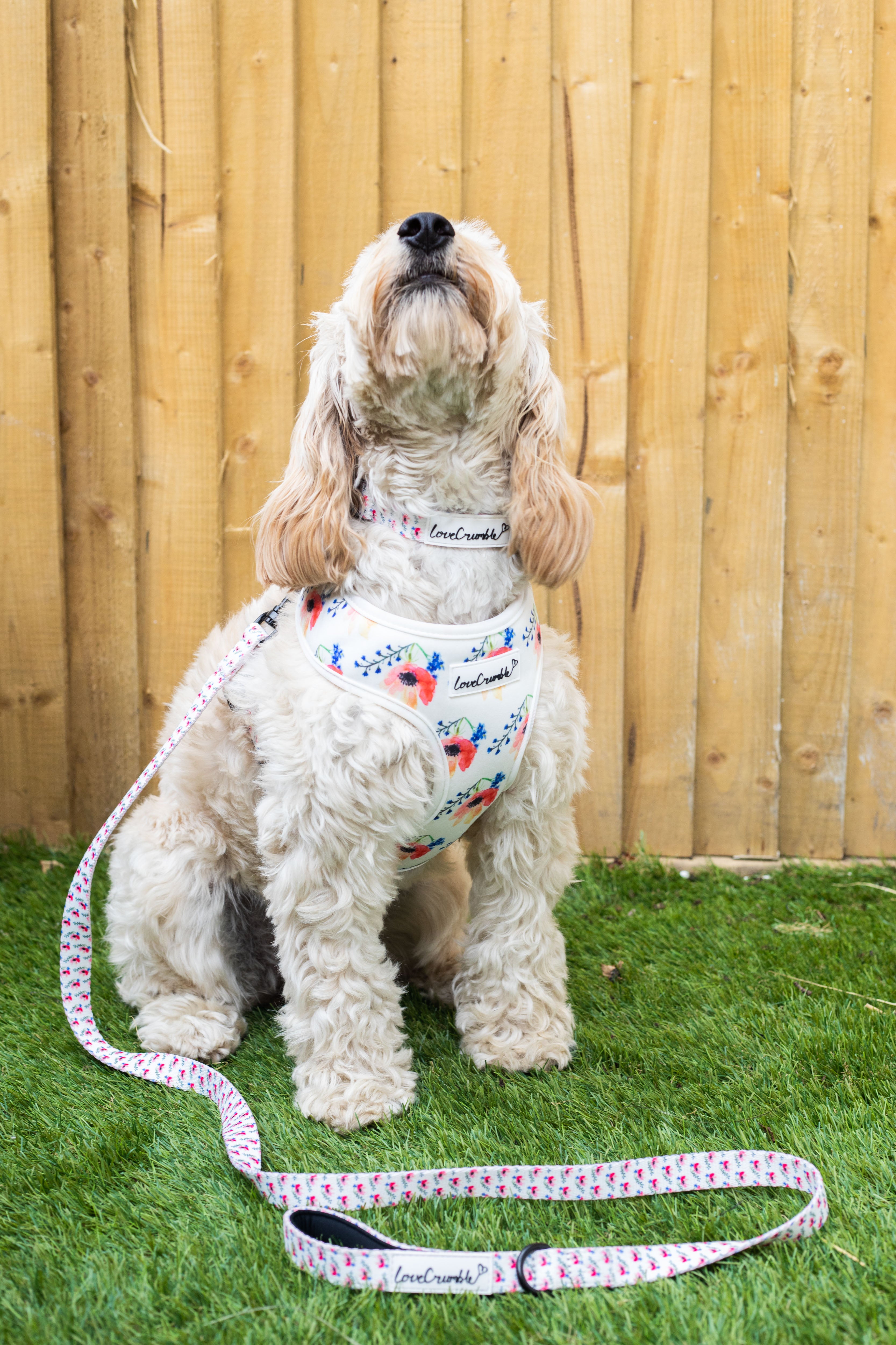 Chelsea Flowers Set - Dog Harness, Collar & Lead
