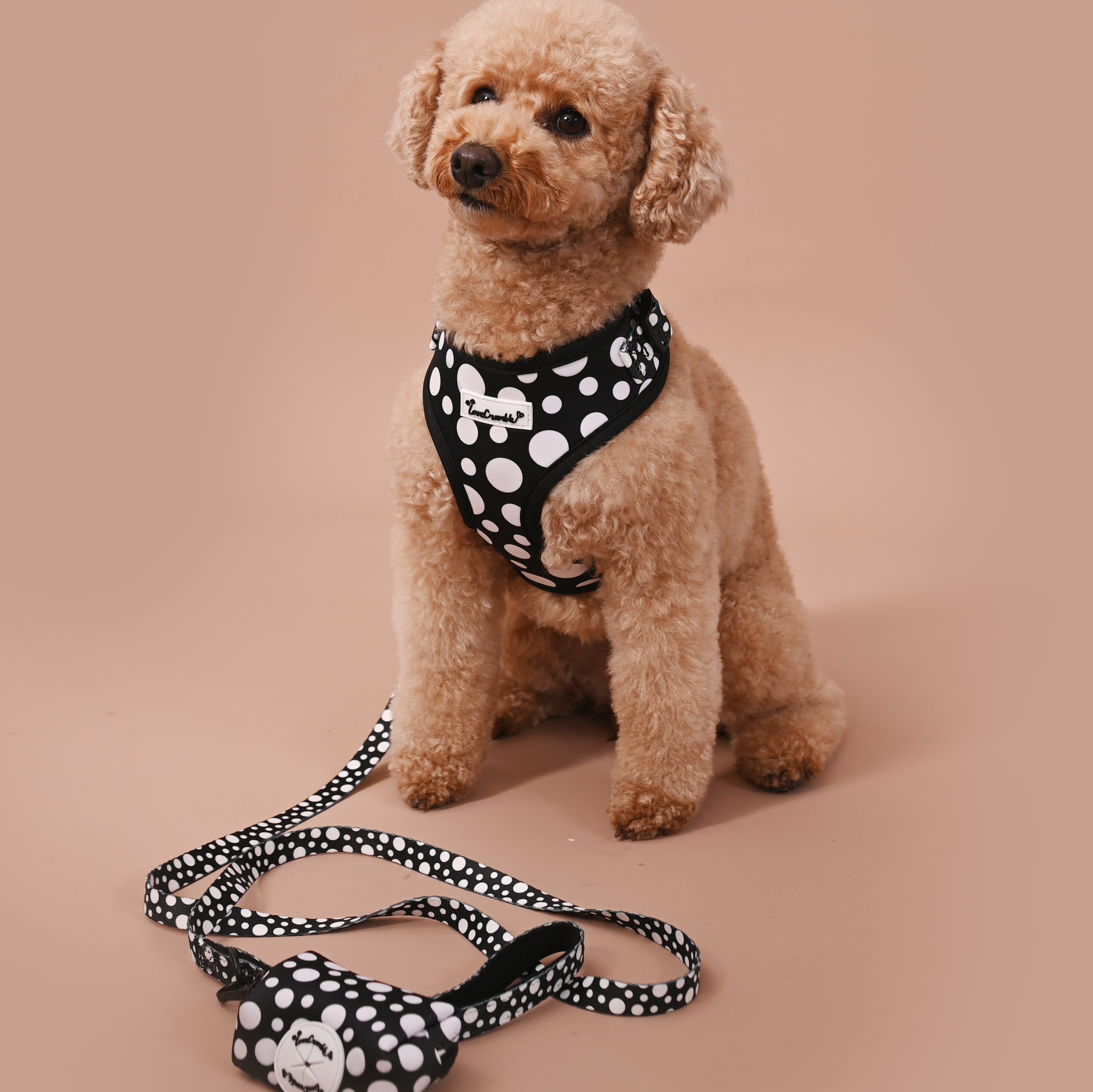 Polka Dog’ Harness