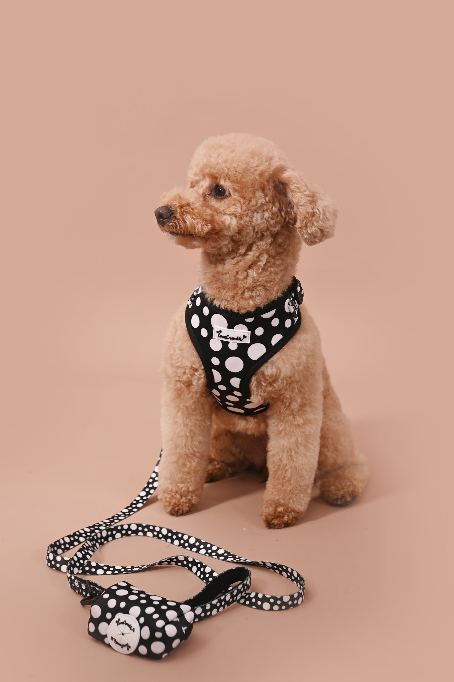 Polka Dog’ Set - Harness, Lead, Collar &amp; Poo Bag Holder