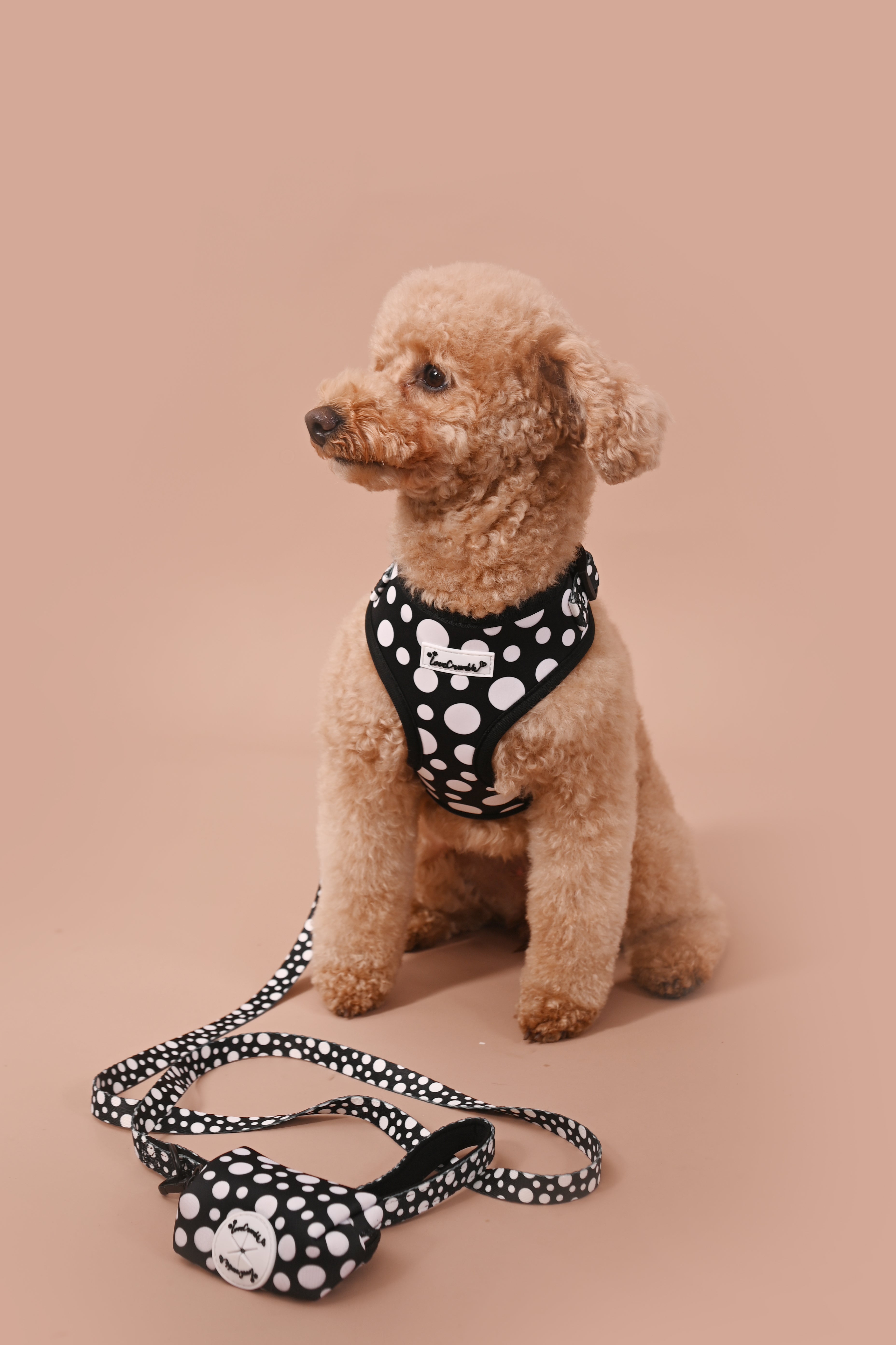 Polka Dog’ Set - Harness, Lead, Collar &amp; Poo Bag Holder