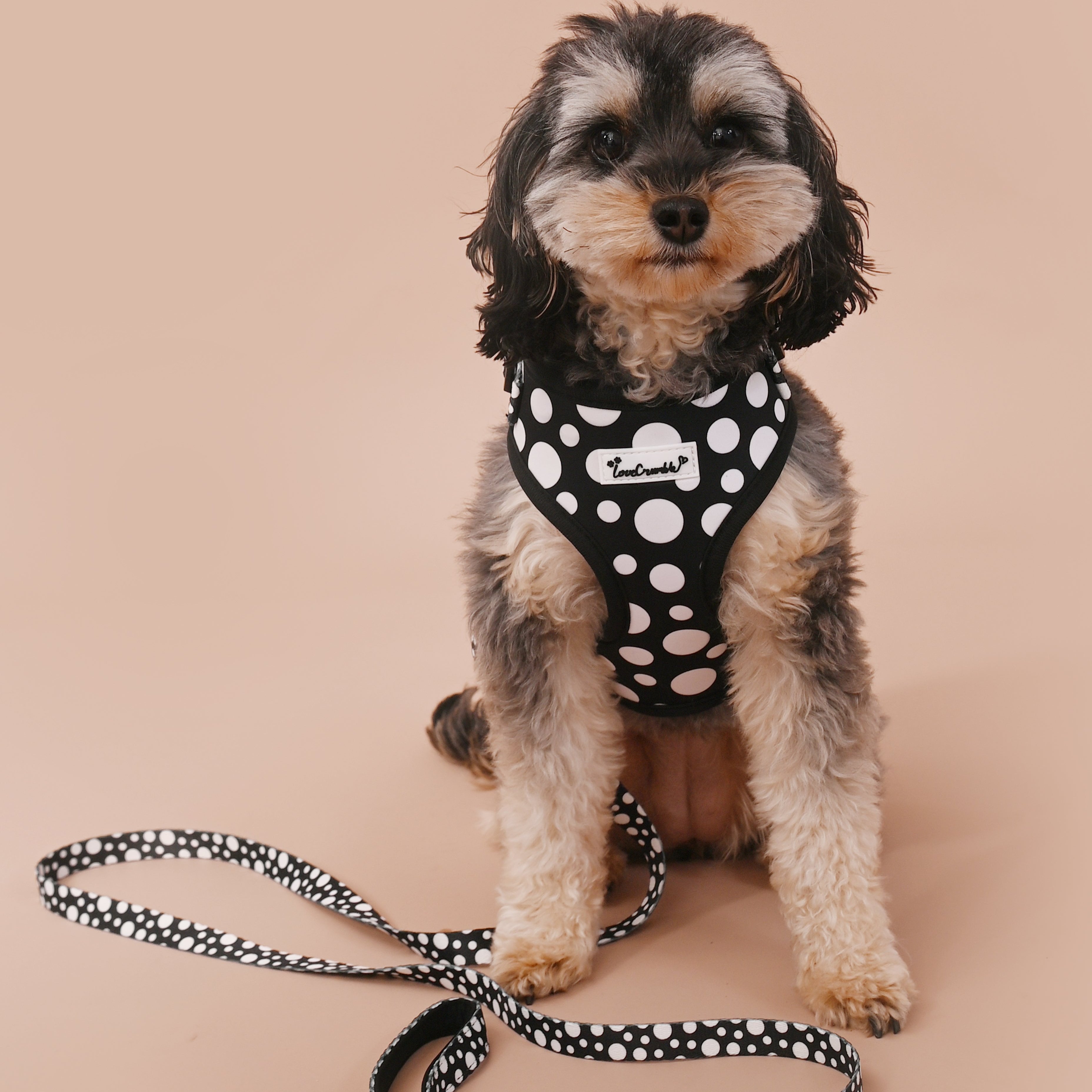 Polka Dog’ Set - Harness, Lead, Collar &amp; Poo Bag Holder