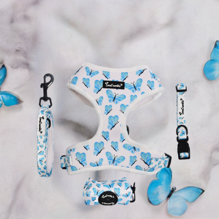 Blue Butterfly Dreams Set - Dog Harness, Lead, Collar & Poo Bag Holder