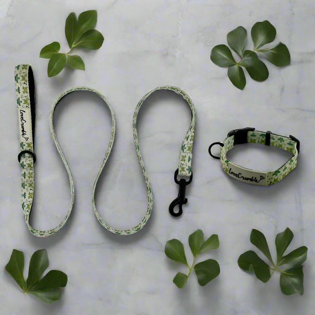 Botanical Garden Collar &amp; Lead Set