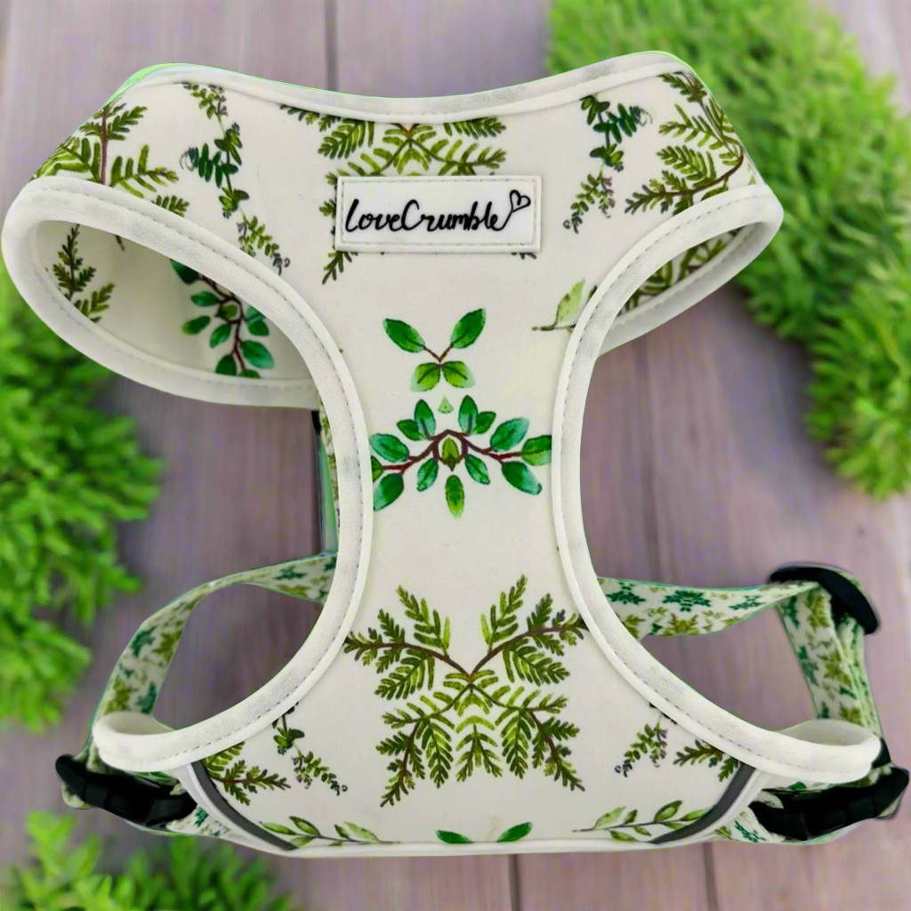 Botanical Garden Set - Harness, Collar &amp; Lead