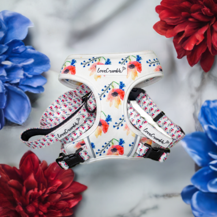 LoveCrumble Floral Sets - Harness, Collar &amp; Lead