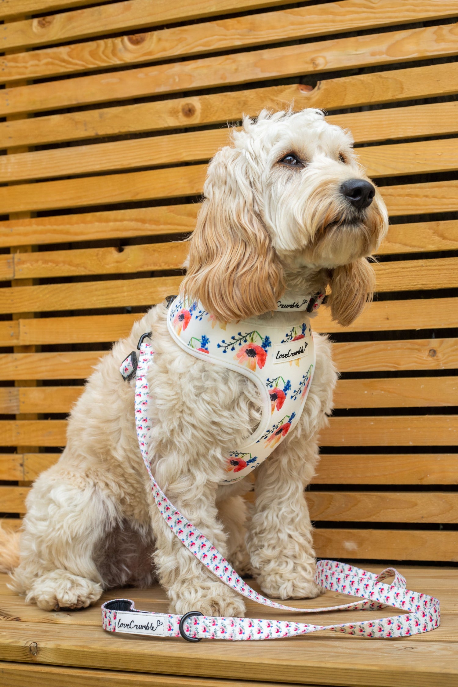 LoveCrumble Floral Sets - Harness, Collar &amp; Lead