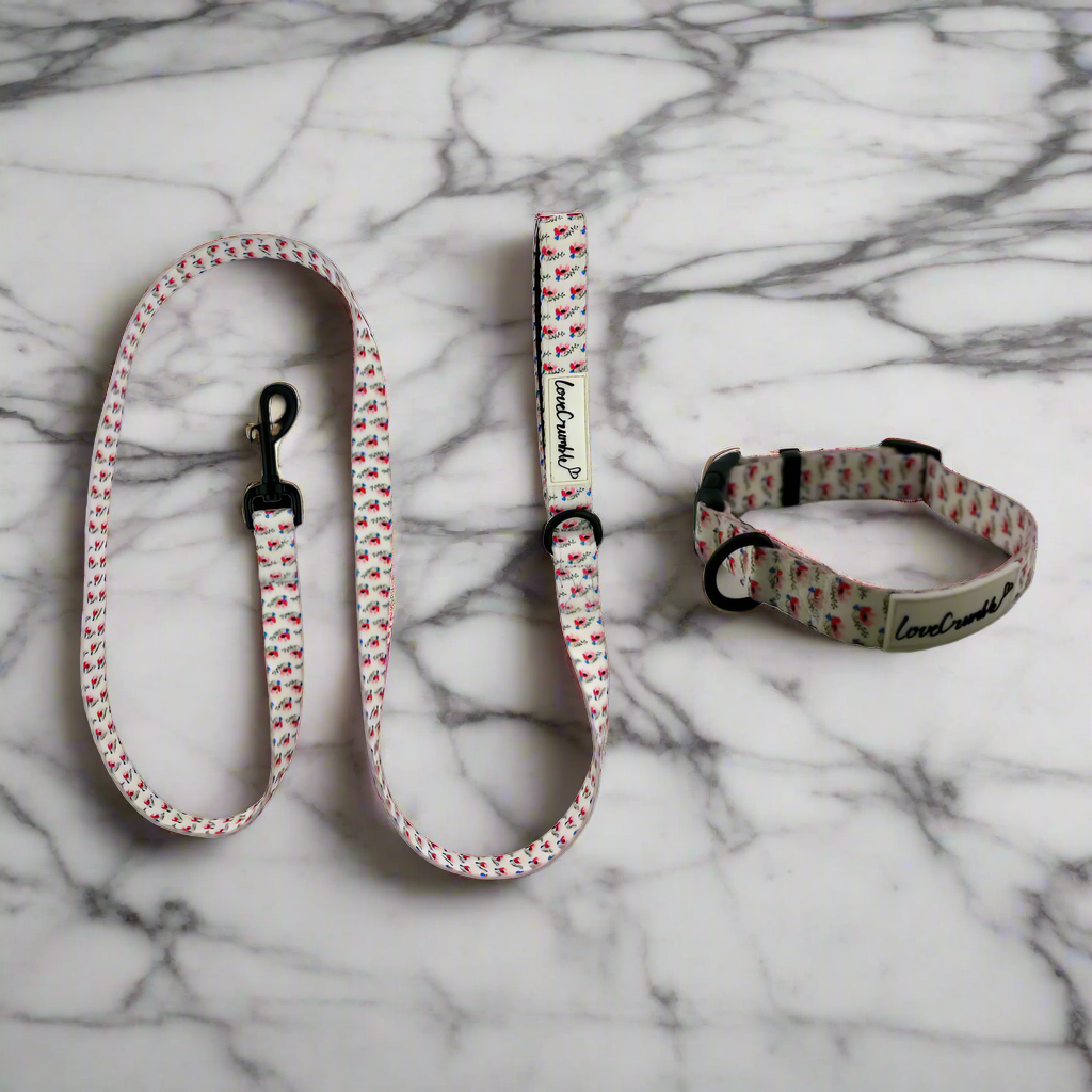 Chelsea Flowers Dog Collar & Lead Set