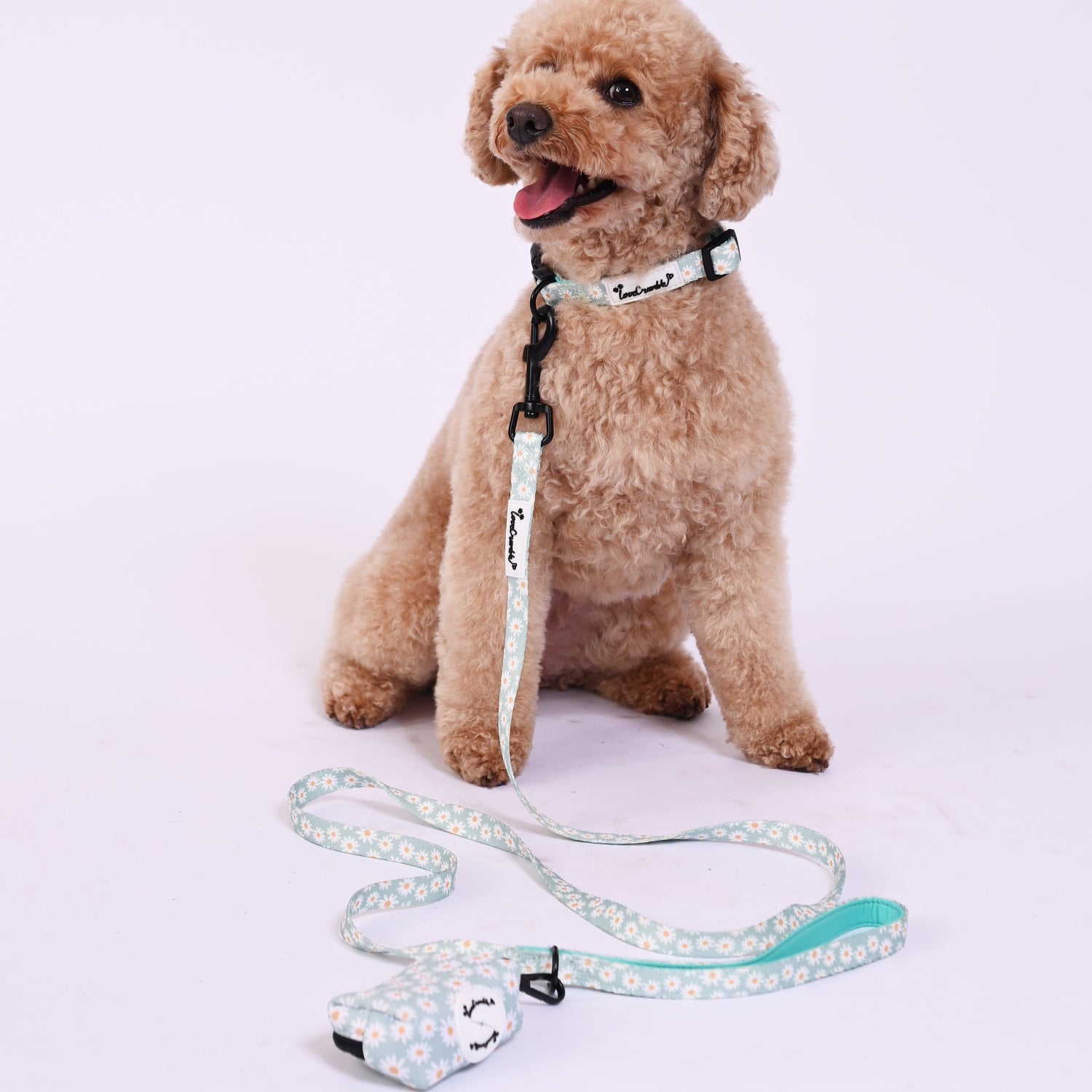 Daisy Meadow Set - Harness, Lead, Collar &amp; Poo Bag Holder