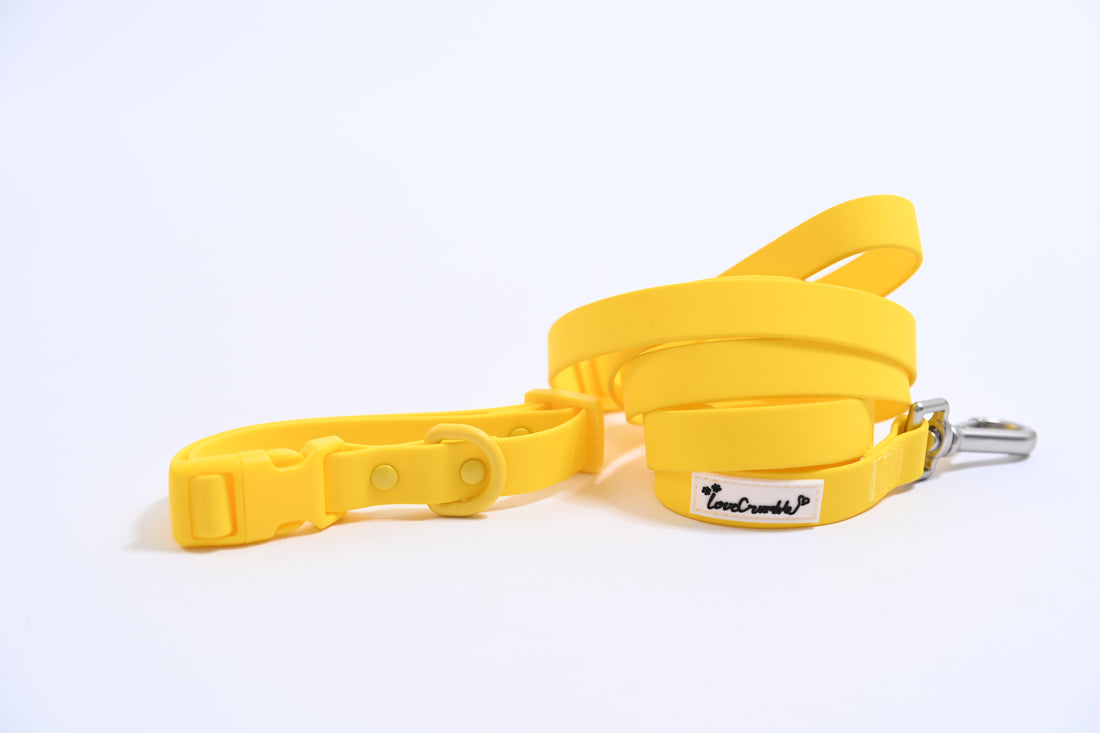 Biothane Wipe Clean Lead &amp; Collar - Macaron Yellow