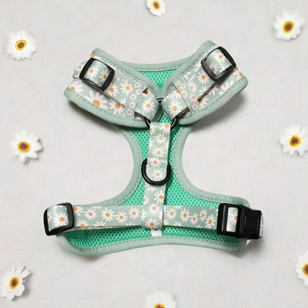 Daisy Meadow Set - Harness, Lead, Collar &amp; Poo Bag Holder