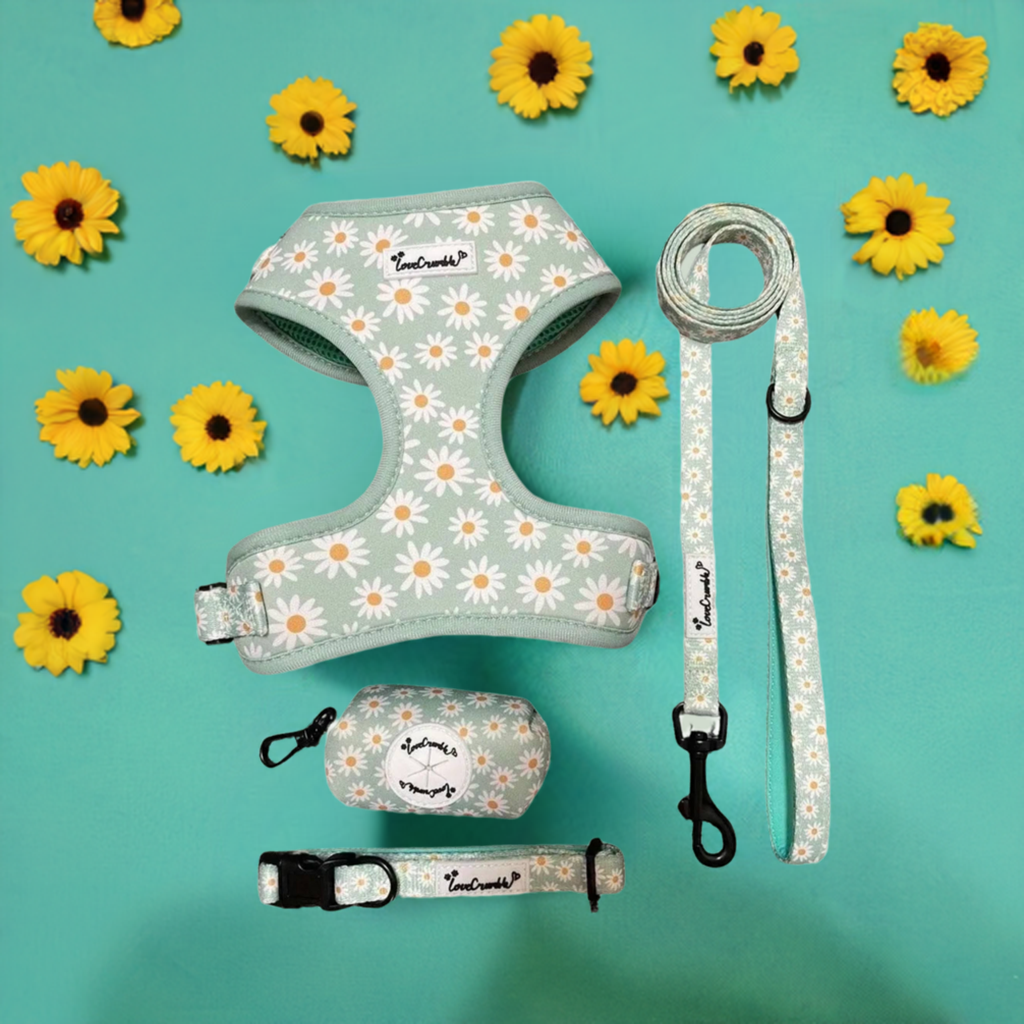 Daisy Meadow Set - Harness, Lead, Collar &amp; Poo Bag Holder