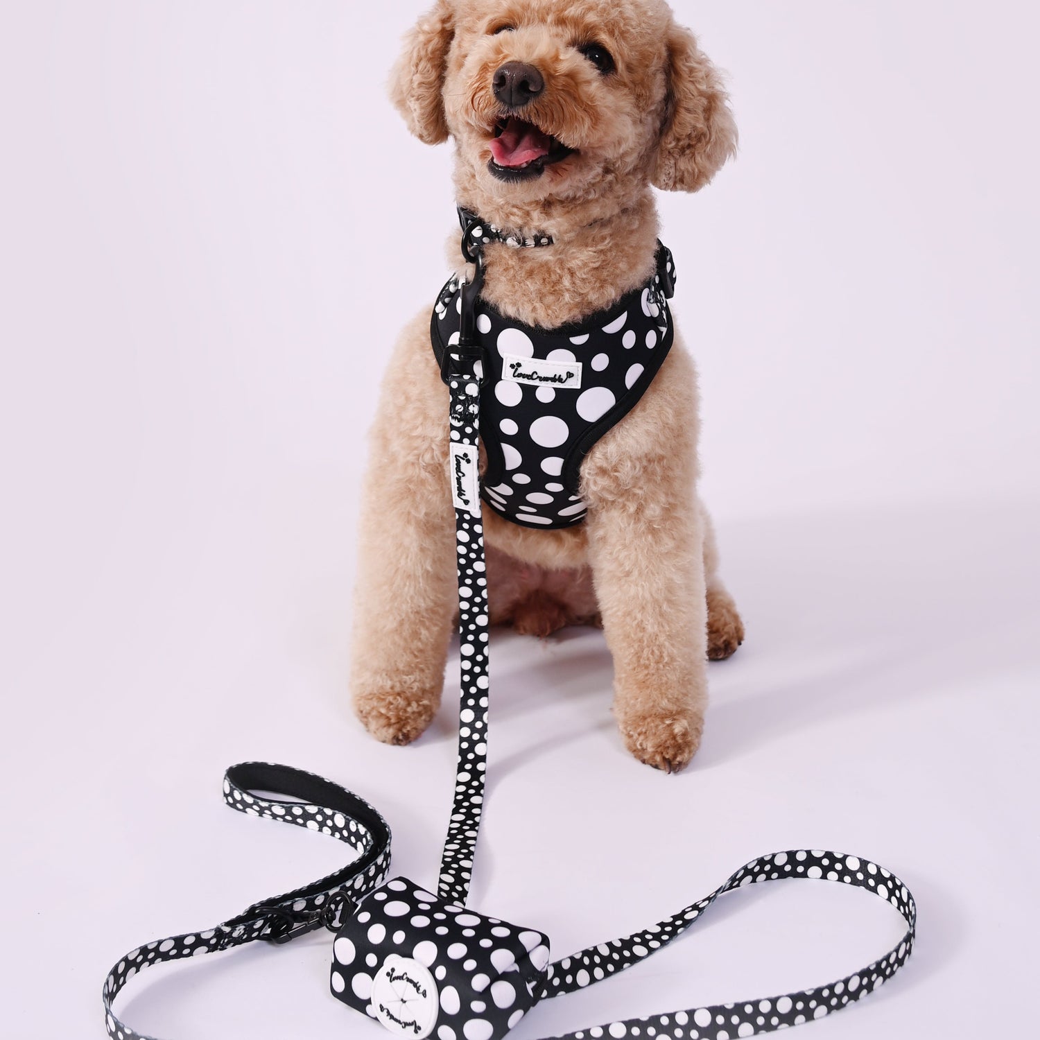 Polka Dog’ Set - Harness, Lead, Collar &amp; Poo Bag Holder