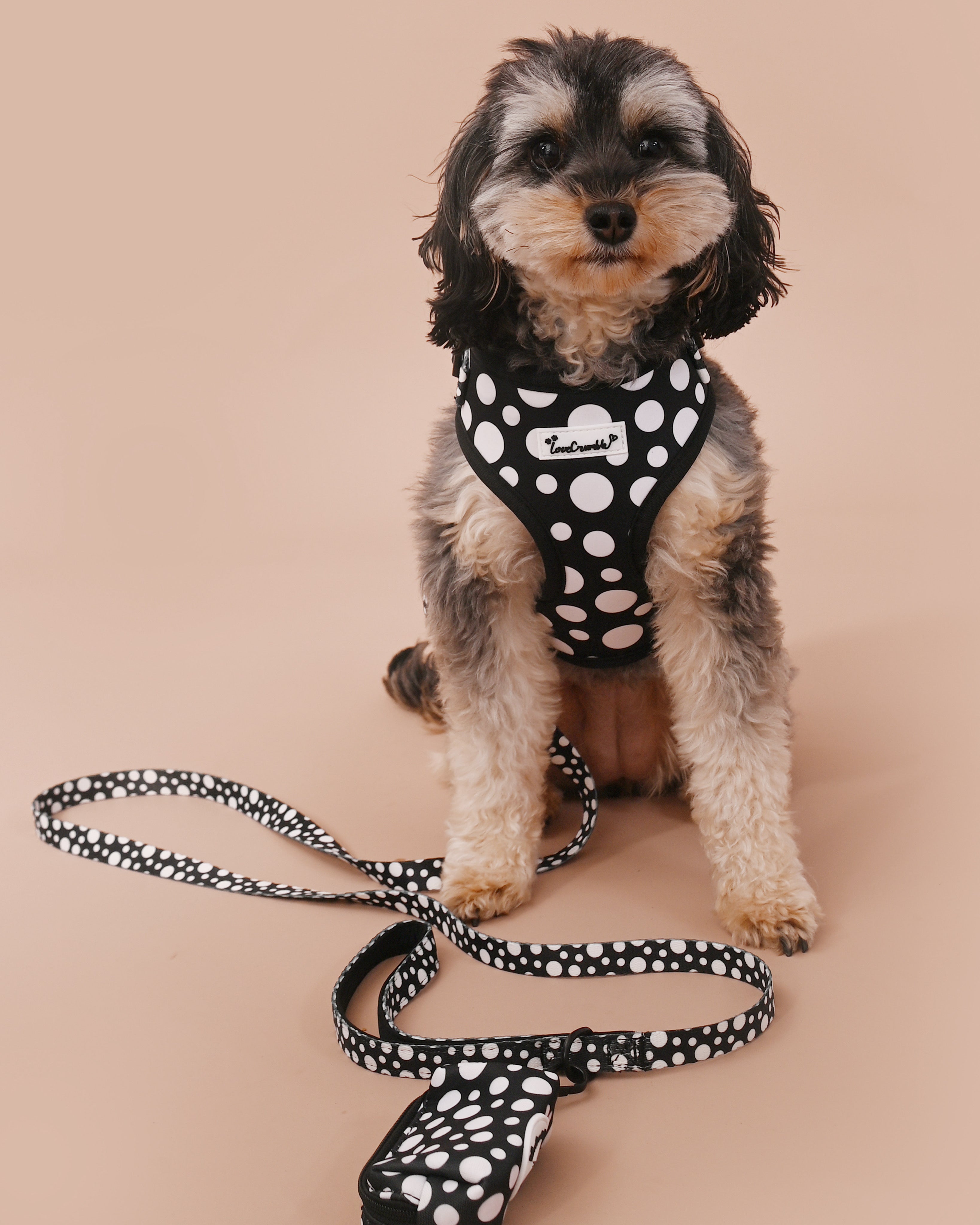 Polka Dog’ Harness