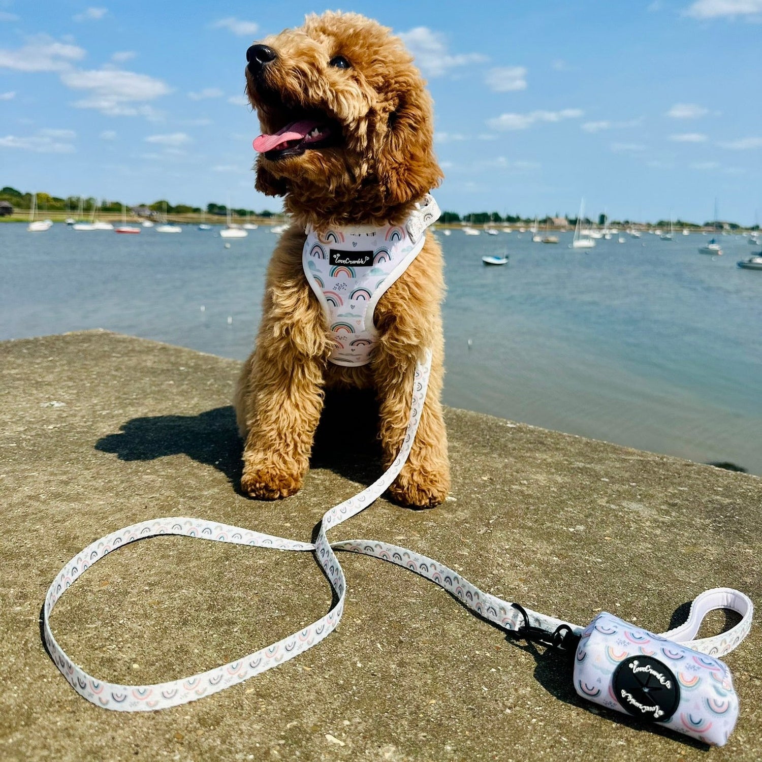 Hearts &amp; Rainbows Charm Set - Harness, Lead, Collar &amp; Poo Bag Holder