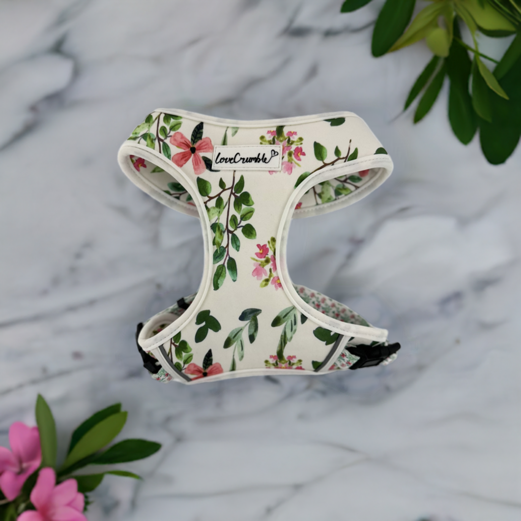 Spring Meadow Dog Harness