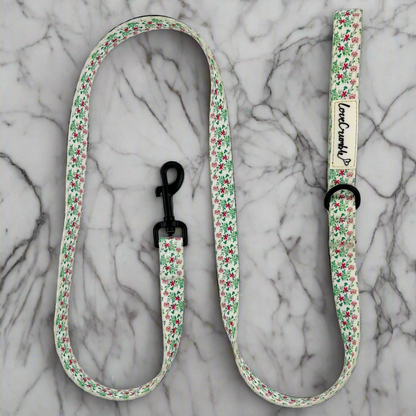 Spring Meadow Collar &amp; Lead Set