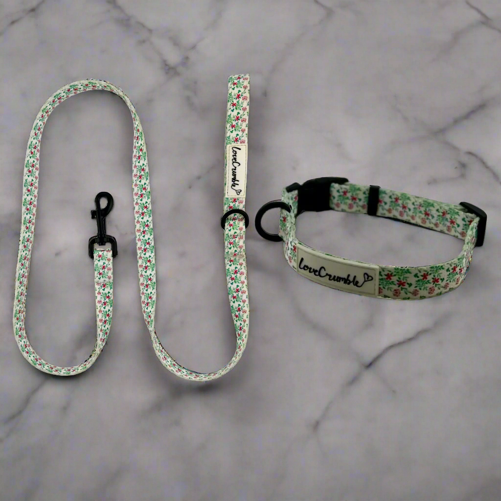 Spring Meadow Collar &amp; Lead Set