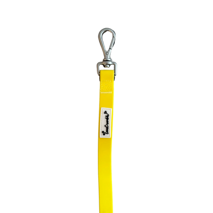 Biothane Wipe Clean Lead &amp; Collar - Macaron Yellow